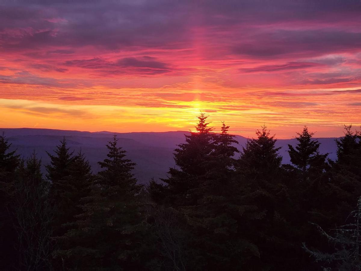 Snowshoe Ski-In & Ski-Out At Silvercreek Resort - Family Friendly, Jacuzzi, Hot Tub, Mountain Views Екстер'єр фото